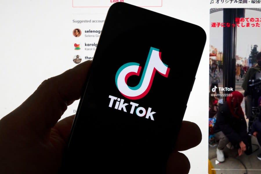 TikTokio - TikTok Downloader - Download TikTok Videos Without Watermark online