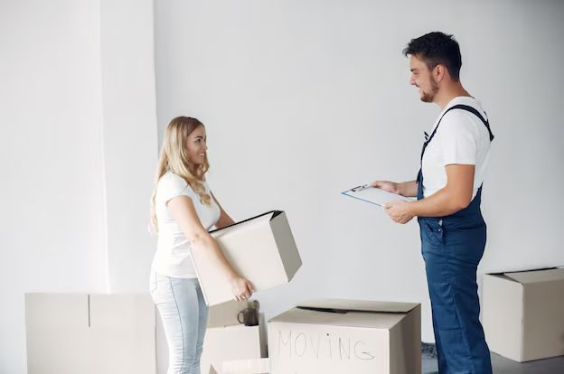 domestic packers and movers